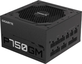 Gigabyte GP-P750GM