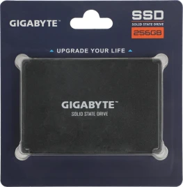 Gigabyte GP-GSTFS31256GTND