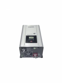 ИБП Hiden Control HPS30-2012 (12в 2000Вт)