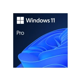 Лицензия на ПО/ Win Pro 11 32-bit/64-bit All Lng PK Lic Online DwnLd NR