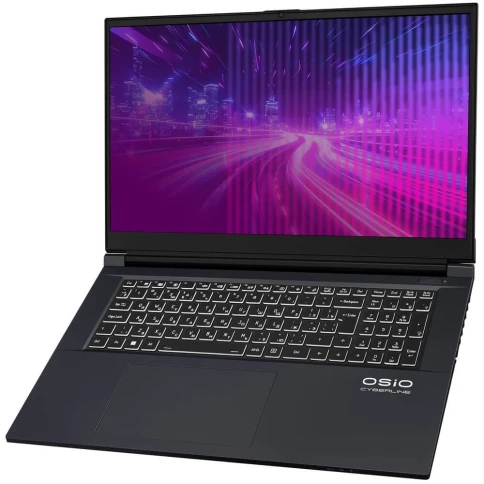 Ноутбук CyberLine C170i-002 17.3"(1920*1080 IPS (матовый, 144Hz) )/Intel Core i5 12600H(2.7Ghz)/16384Mb/512PCISSDGb/noDVD/Ext:nVidia GeForce RTX4050(6144Mb)/Cam/BT/WiFi/52.6WHr/war 1y/2.4kg/Space Gray/noOS + не МПТ фото 6