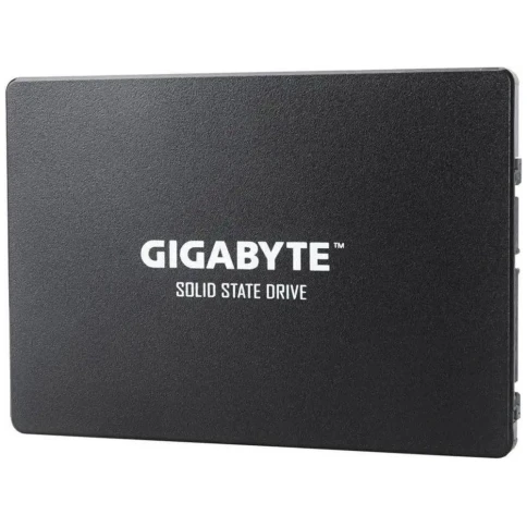 Gigabyte GP-GSTFS31256GTND фото 7