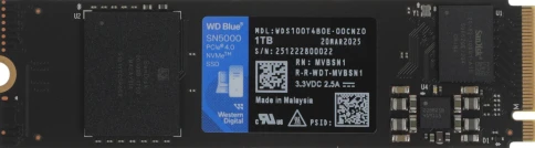 WD WDS100T4B0E фото 1