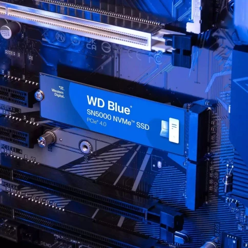 WD WDS100T4B0E фото 7