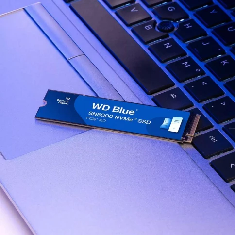 WD WDS100T4B0E фото 10