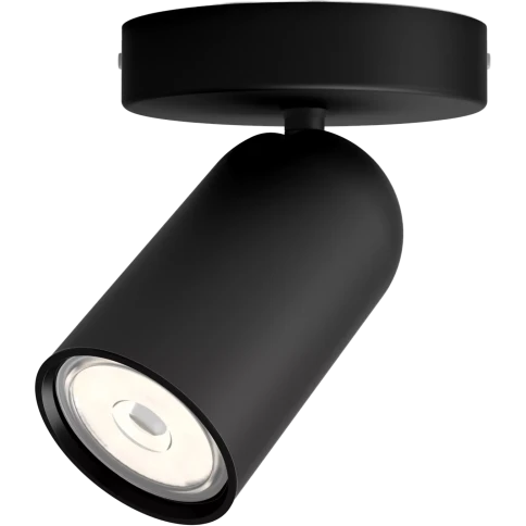 Philips PONGEE single spot black 1xNW 230V фото 1