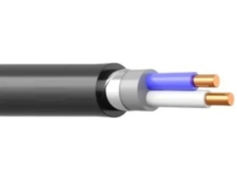 Кабель медный силовой бронированный ВБШвнг(А)-LS 2х6-1 (ож) ГОСТ фото 1
