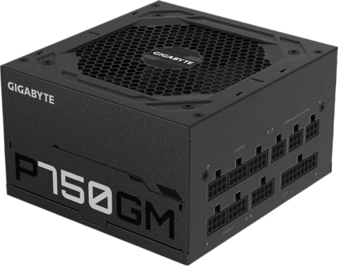 Gigabyte GP-P750GM фото 1