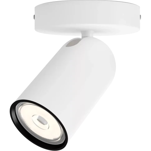 Philips PONGEE single spot white 1xNW 230V фото 1