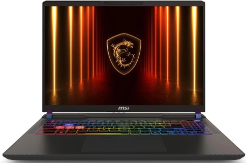 Ноутбук MSI Vector A16 HX A8WHG-033XRU AMD Ryzen 9 8940HX/16Gb/SSD1Tb/RTX5070Ti 12Gb/16"/IPS/WQXGA/2560x1600/240Hz/NoOS/Cosmos Gray (9S7-15MM72-033) фото 1