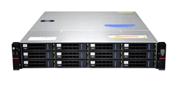 Серверный корпус/ Gooxi RMC2112-670-HS-NV-D 2U 12bay chassis, SAS/SATA/NVME backplane, rear 2*2.5"SAS/SATA, 1300W 1+1, EU power cables, rail kit фото 1