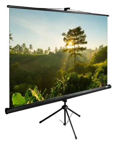 Экран Cactus 200x200см TriExpert CS-PSTE-200x200-BK 1:1 напольный рулонный черный фото 1