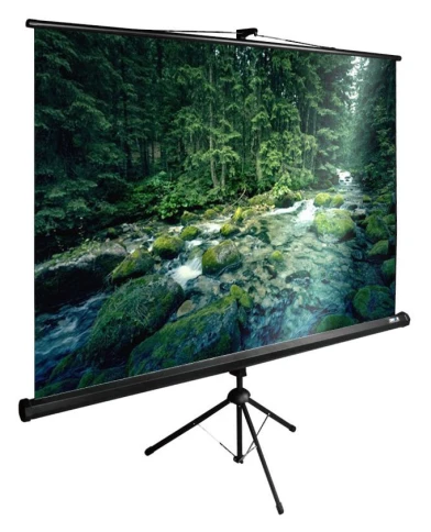 Экран Cactus 165x220см TriExpert CS-PSTE-220x165-BK 4:3 напольный рулонный черный фото 1