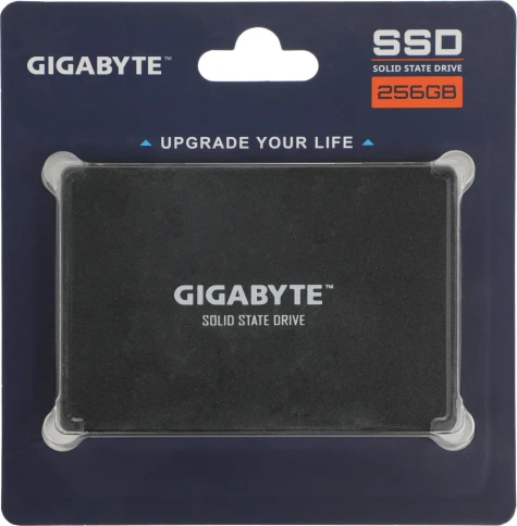 Gigabyte GP-GSTFS31256GTND фото 1