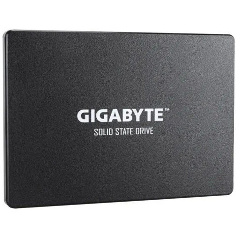 Gigabyte GP-GSTFS31256GTND фото 5