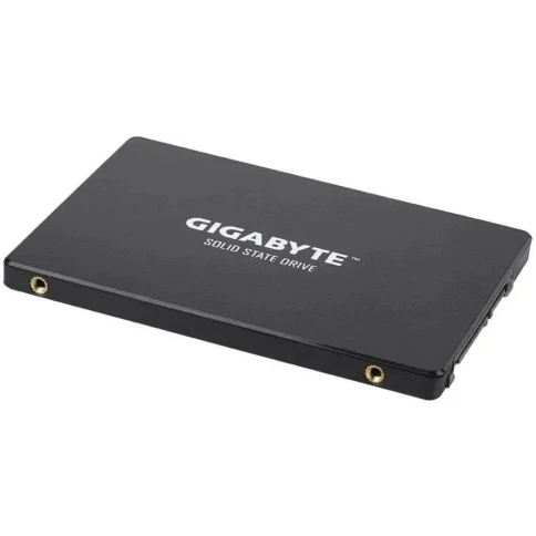 Gigabyte GP-GSTFS31256GTND фото 9