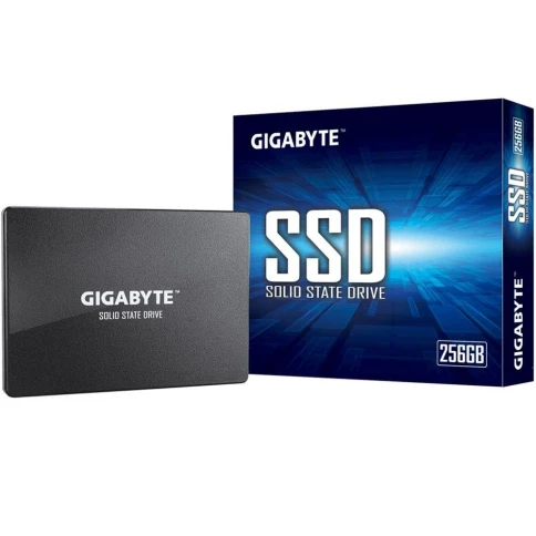 Gigabyte GP-GSTFS31256GTND фото 3