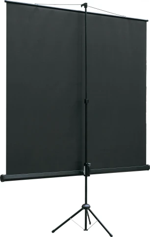 Экран на треноге Lumien 127x127см Eco View LEV-100104 1:1 напольный рулонный фото 2