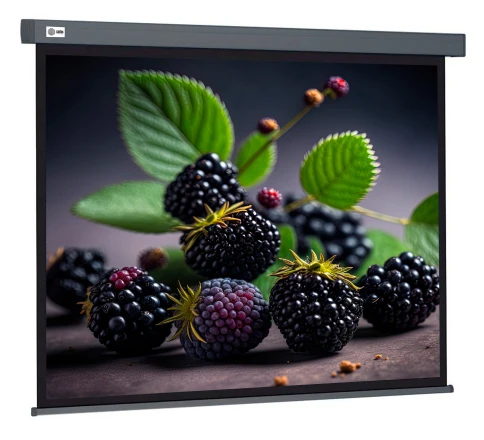 Экран Cactus 127x127см Wallscreen CS-PSW-127X127-SG 1:1 настенно-потолочный рулонный серый фото 1